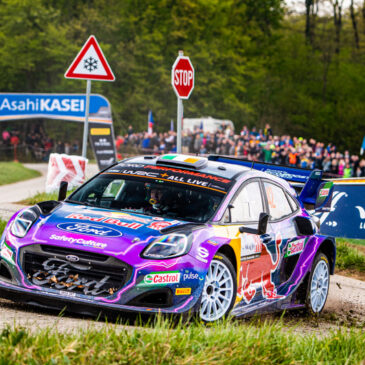 Mit flotten Flundern durchs flache Flandern: M-Sport Ford schickt drei Puma Hybrid Rally1 zur WM-Rallye Belgien