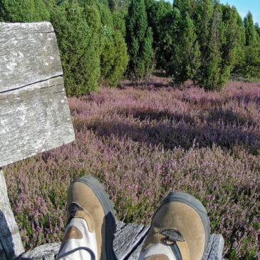 Heideurlaub: Einfach idyllisch! – Beim Wandern in der Südheide Gifhorn die Seele baumeln lassen