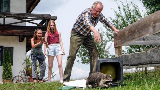 Familienfilm: Zimmer mit Stall – Die Waschbären sind los (Das Erste 20:15 – 21:45 Uhr)