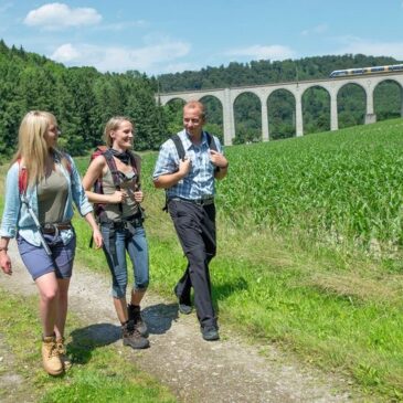 Drei der schönsten Wandertouren durch das Paderborner Land
