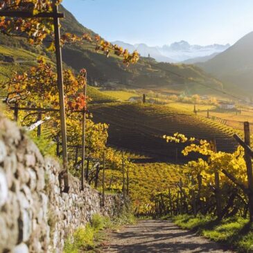Der Herbst in Südtirol: Wanderungen und Weinfeste