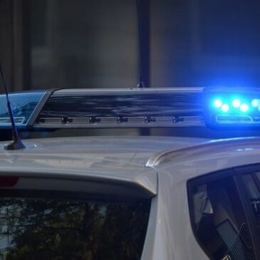 Magdeburger Polizei sucht Ladendieb