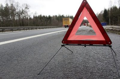 Sattelzug mit Schlachtabfällen brennt auf der A14 bei Bernburg