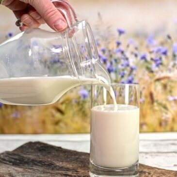 Erzeugerpreise landwirtschaftlicher Produkte im Juli 2022 um 33,4 % höher als im Juli 2021 / Preise für Milch gegenüber dem Vorjahr um 51,7 % gestiegen
