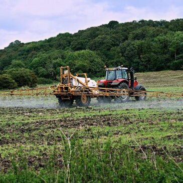 Hohe Gaspreise beeinträchtigen Düngemittelindustrie