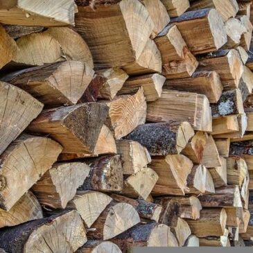 Heizen mit Holz: Brennholz und Holzpellets im August 2022 um 86 % teurer als im Vorjahresmonat