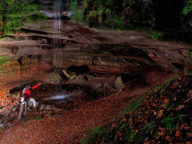 Ausgezeichnet wandern – Im Pfälzerwald Deutschlands zweitschönsten Wanderweg 2022 und viele weitere Qualitätsrouten entdecken
