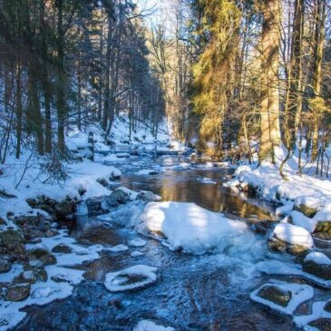 Den urtümlichen Harz beim Winterwandern entdecken