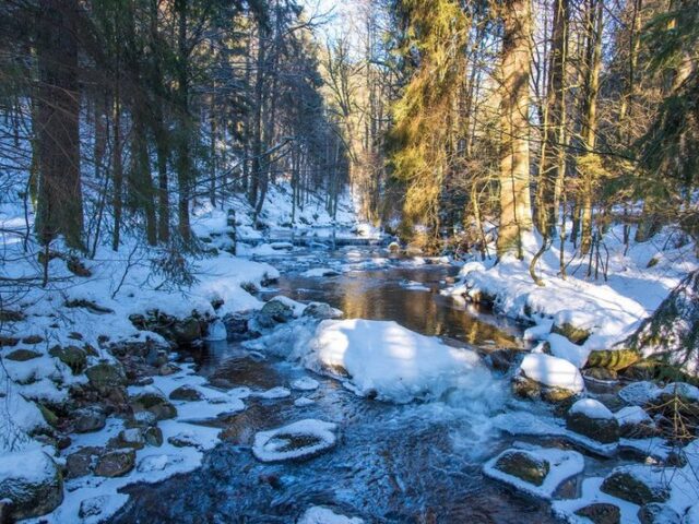 Den urtümlichen Harz beim Winterwandern entdecken