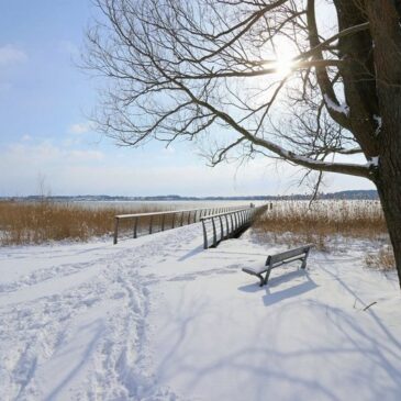 Abschalten und entspannen am Ostseefjord Schlei