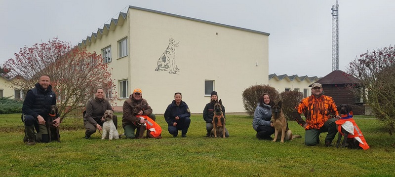 Kampf gegen Afrikanische Schweinepest: Ausbildung weiterer Kadaverspürhunde in Sachsen-Anhalt abgeschlossen