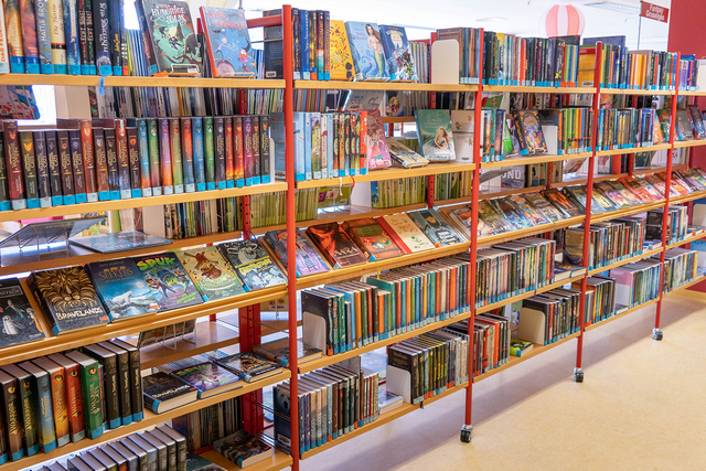 Stadtbibliothek Magdeburg startet mit Buchverkauf und Weihnachtsmarkt