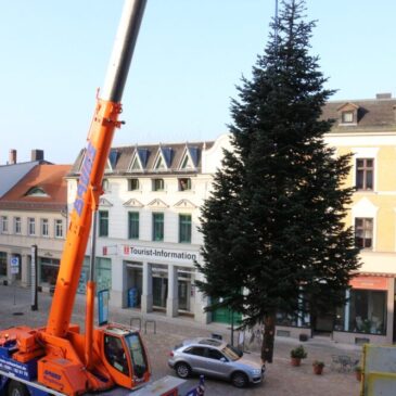 Bauhof stellt die Weihnachtsbäume für 2022 auf Marktplätze Altstadt und Bad Salzelmen