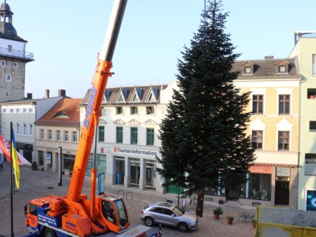 Bauhof stellt die Weihnachtsbäume für 2022 auf Marktplätze Altstadt und Bad Salzelmen