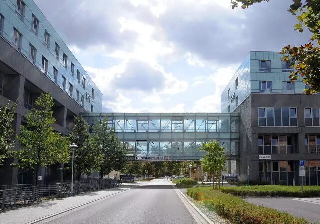 Universitätsklinik Magdeburg: Medizinischer Sonntag digital am 20. November