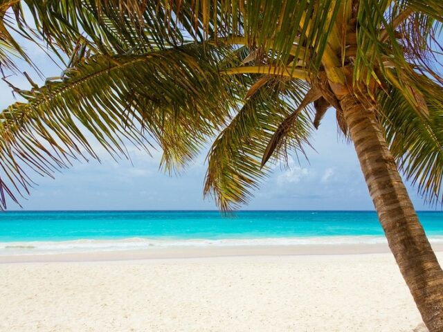 Bescherung unter Palmen: Wo Reisende über die Feiertage günstig Urlaub machen