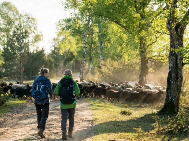 Familienauszeit in der Lüneburger Heide