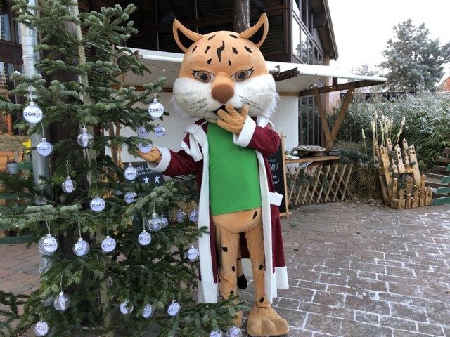 Blitzeis: Magdeburger Zoo bleibt heute geschlossen!