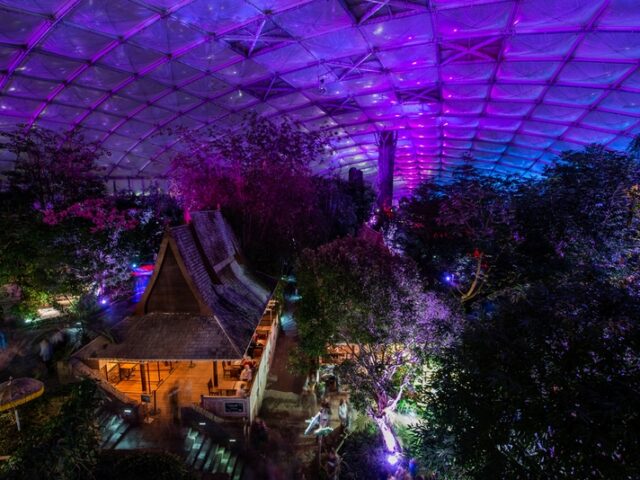 Städtereisen: Der Zoo Leipzig erstrahlt beim Magischen Tropenleuchten vom 5. Januar bis 5. Februar 2023