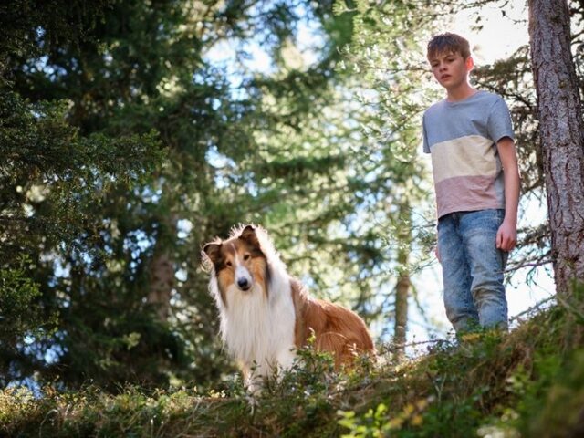 Neuer Kinostarttermin LASSIE – EIN NEUES ABENTEUER: Ab 27. Juli 2023 im Kino