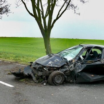 Lenkrad verrissen: Auto prallt gegen Baum