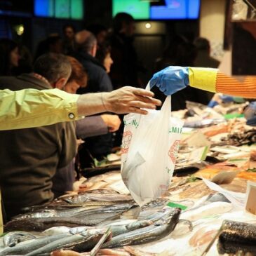 Ausflugstipp: Fischmarkt auf dem Parkplatz der Messe-Magdeburg