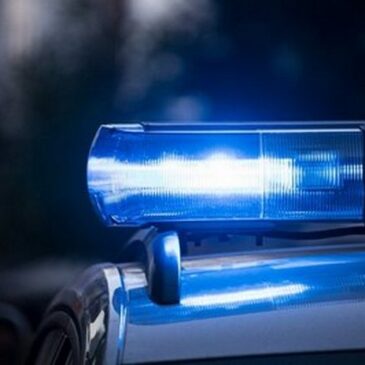 33-Jähriger beschädigt erneut Dienstfahrzeuge der Landes- und Bundespolizei