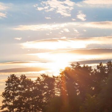 Frühling mitten im Winter – Über 20 Grad – Temperaturrekorde purzeln reihenweise