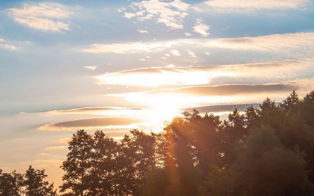 Frühling mitten im Winter – Über 20 Grad – Temperaturrekorde purzeln reihenweise