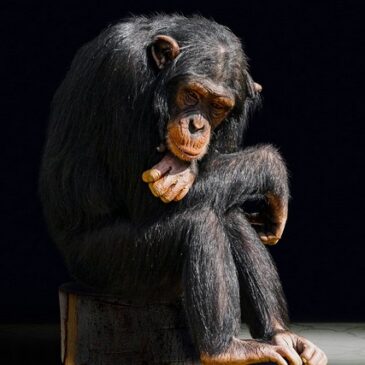 Magdeburger Zoo bleibt am 24. Januar geschlossen: Havarieprobe „Zoo ohne Strom“