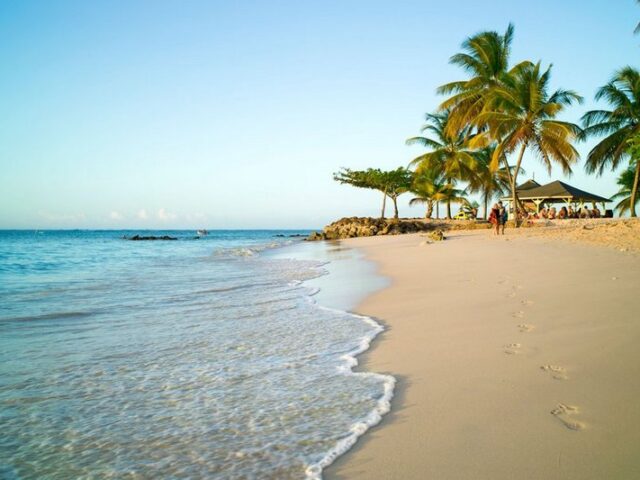 Chillen für Fortgeschrittene: Auf Tobago ist „Liming“ Volkssport – und der hektische Alltag ganz weit weg