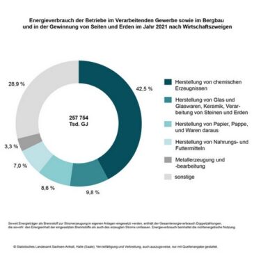 2021 verbrauchte Chemische Industrie Sachsen-Anhalts 43% des industriellen Energiebedarfs