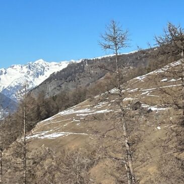Historische Schneearmut in den Alpen führt zu Wassermangel – Trockenheit nimmt zu