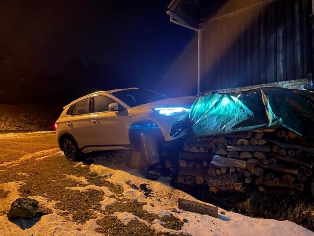 Tier ausgewichen und gegen Mauer gefahren