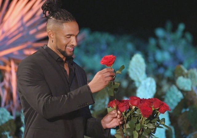 Der Bachelor: „Die 1. Nacht der Rosen steht an und ich weiß nicht, wo mir der Kopf steht.“ (RTL  20:15 – 22:15 Uhr)