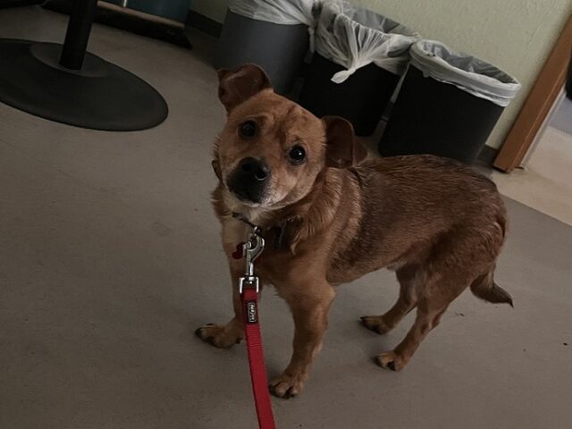 Polizeirevier Bördekreis: Aktuelle Polizeimeldungen