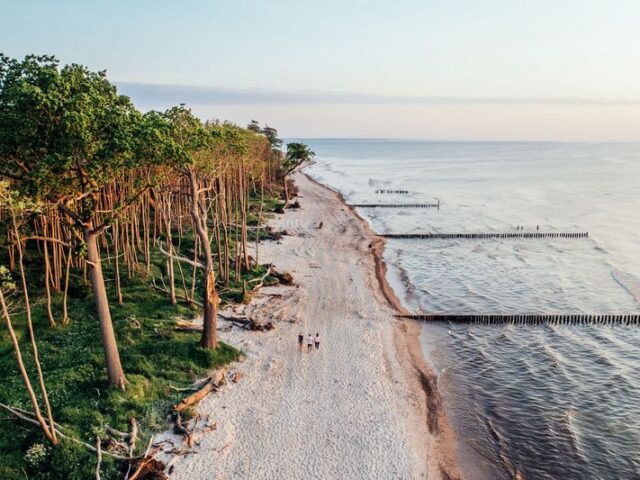 Meck-Pomm News: Das Tor zum größten Küstenwald Deutschlands