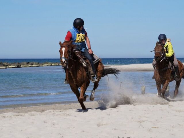 Zwischen Fackelschwimmen und Fischländer Strandgalopprennen: Das Osterfest in Mecklenburg-Vorpommern
