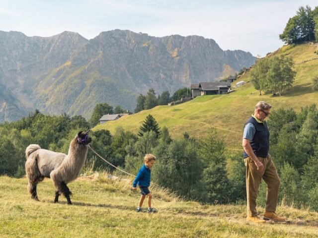 Tierisch unterwegs: Mit Lama und Geiß durch die Schweiz