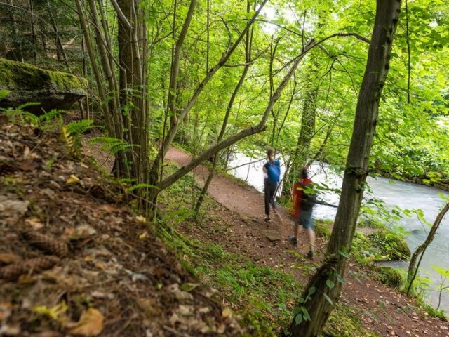 Einsame Pfade im Nordschwarzwald: Das unentdeckte Wanderparadies bei Pforzheim