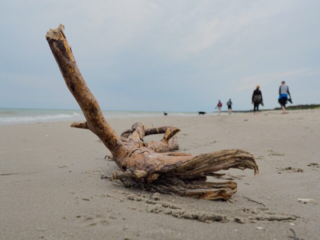 Zingst: Unterwegs zu neuem Wohlgefühl und Vitalität
