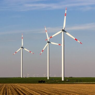 Neues Gesetz legt Teilflächenziele für Windenergie an Land in Sachsen-Anhalt fest