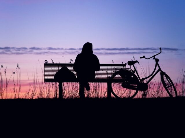 40 % der Menschen in Sachsen-Anhalt lebten 2021 allein