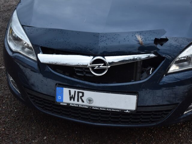 Polizeirevier Harz: Aktuelle Polizeimeldungen