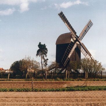Kulturdenkmal: Heute wird die Windmühle Etingen auf sanierten „Bock“ gestellt