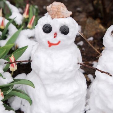 Märzwinter zum Frühlingsstart – Frost und Schnee statt milder Luft