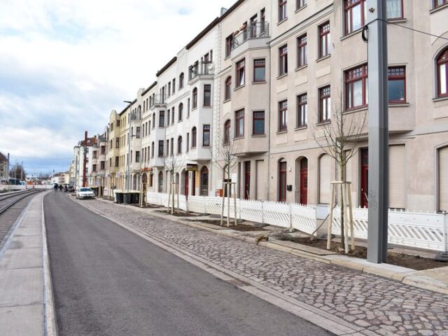 Schädlingsbefall: Austausch von Bäumen in der Raiffeisenstraße