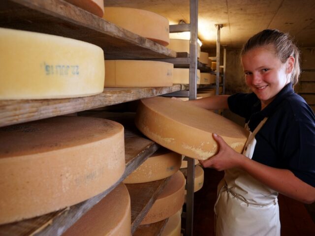 Genussurlaub: Mit Laib und Seele – Auf den Spuren von Alp- und Bergkäse im Bregenzerwälder Käsekeller