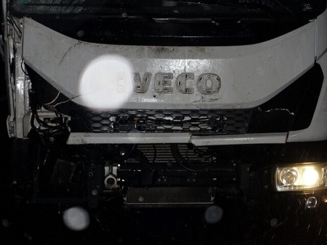 Heute auf der B189: Pferd bei Unfall getötet