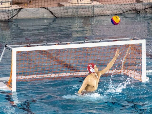 Magdeburg steigt als Derbyfavorit ins Hallenser Becken